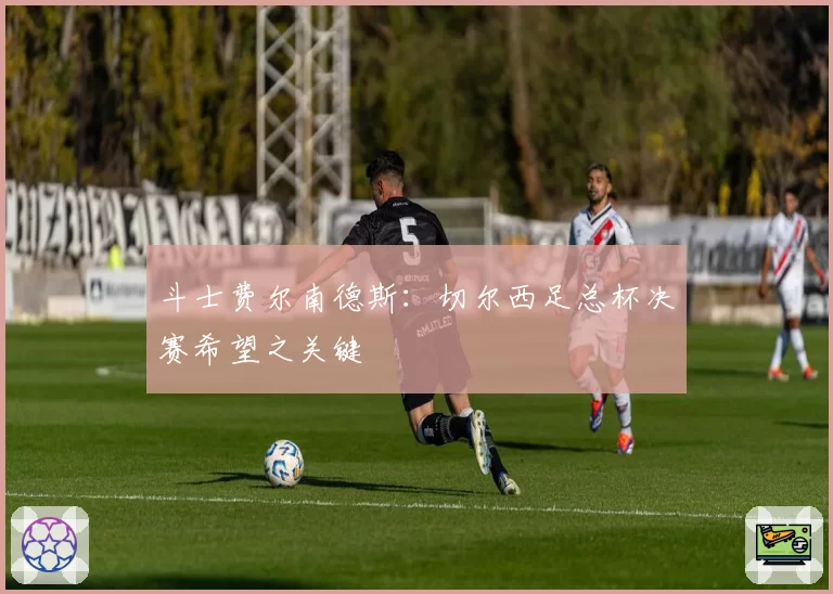 斗士费尔南德斯:切尔西足总杯决赛希望之关键
