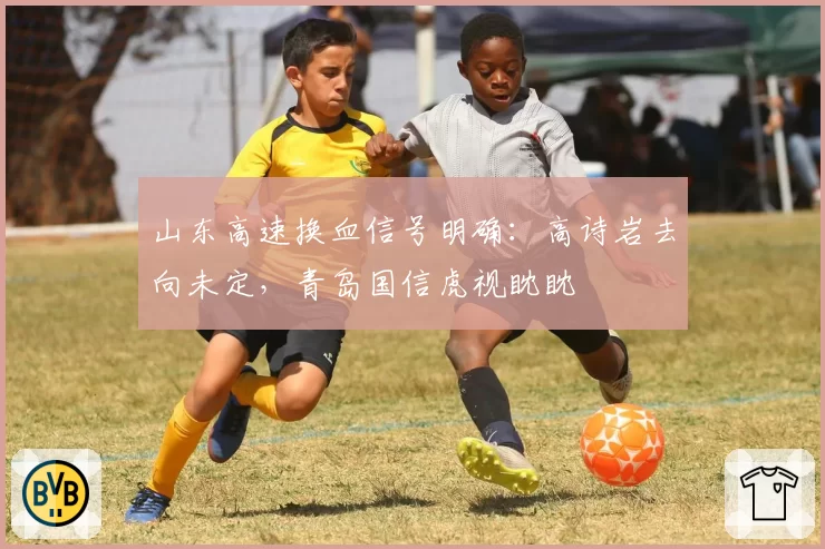 山东高速换血信号明确：高诗岩去向未定，青岛国信虎视眈眈