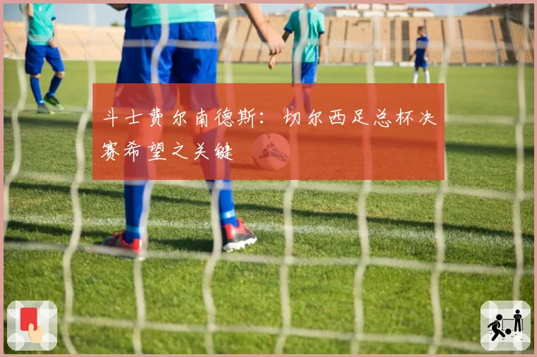 斗士费尔南德斯：切尔西足总杯决赛希望之关键