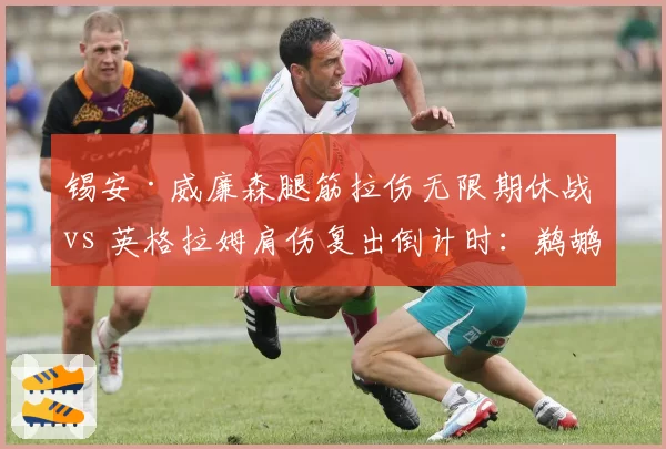 锡安·威廉森腿筋拉伤无限期休战 vs 英格拉姆肩伤复出倒计时：鹈鹕锋线命运分野